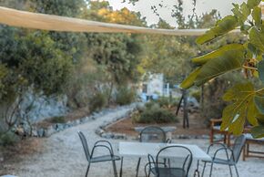 La Lamia 1864 Ostuni by Typney