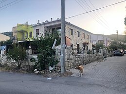 Tas Villa