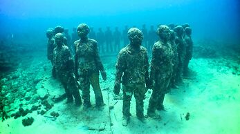 Caribbean Charter