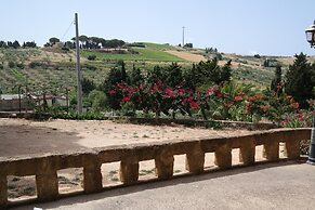 Il Ficodindia