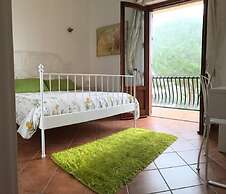 Il Ficodindia