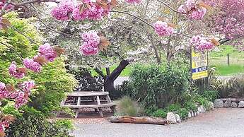 Serenity Motel