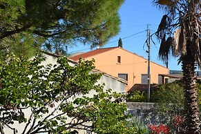 Le colibri bleu