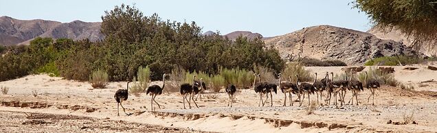 Khowarib Lodge