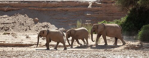 Khowarib Lodge