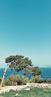 Rocas Roja Beach Hotel
