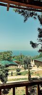 Rocas Roja Beach Hotel