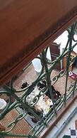 Riad Ranya
