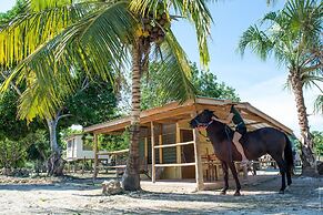 Backpackers Paradise