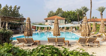 Solaya Kineret
