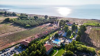 Solaya Kineret