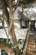 Teremok Lodge and Spa