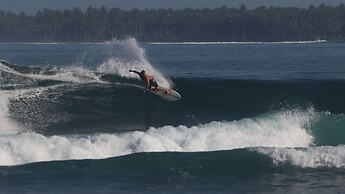 Krui Surfing