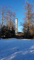 Eventhof Platzhirsch