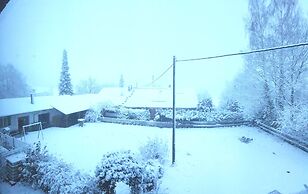 Eventhof Platzhirsch