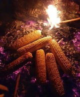 Daidala Life