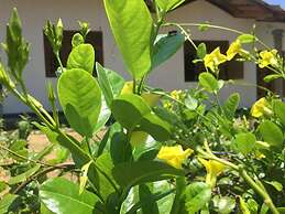 Kalindu Residence