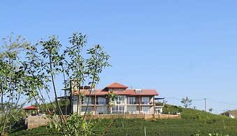 The Harrington Heritage Bungalow