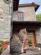 Agriturismo Il Pino