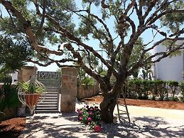 B&B Corallo
