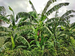 Finca Cuipo