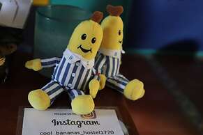 Cool Bananas Backpackers