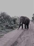 Elephant Lodge