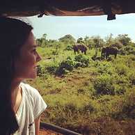 Elephant Lodge