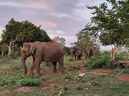 Elephant Lodge