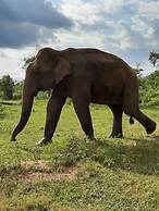 Elephant Lodge