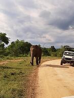 Elephant Lodge