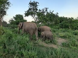 Elephant Lodge