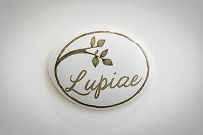 Ilice B&B