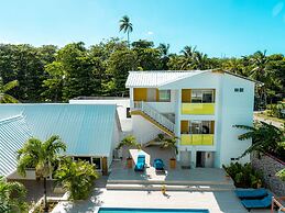 Caribbean Coral