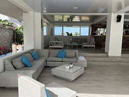 Caribbean Coral