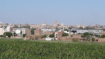 Nile Panorama