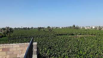 Nile Panorama