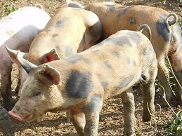 La Petite Ferme