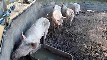 La Petite Ferme