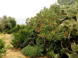 Zahara