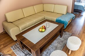 Apartment Eric D11 High Tatras