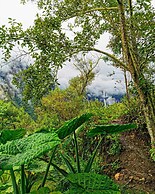 Goctamarca Lodge