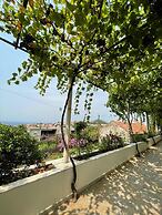 Guest House Luce