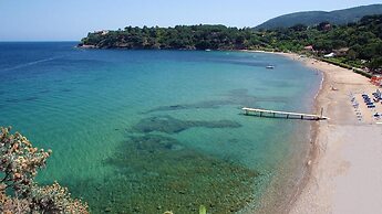 VerdeBlu