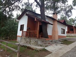 Cabañas del Bosque