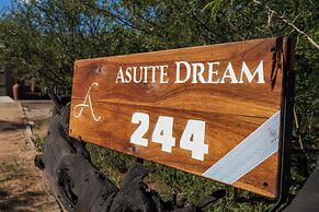 Asuite-Dream