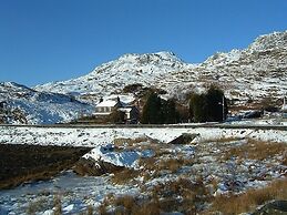 Bryn Elltyd Eco Self-Catering