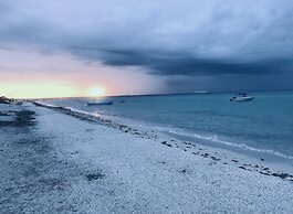 AMA Yucatan