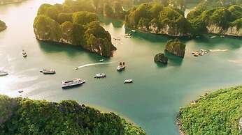 Dragon Bay Cruises