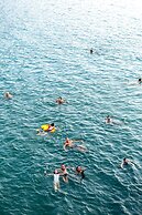 Dragon Bay Cruises